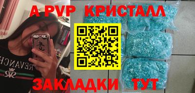 кокс Кингисепп