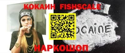 кокс Кингисепп