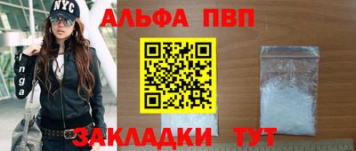 кокс Кингисепп