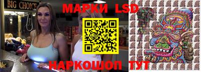 кокс Кингисепп