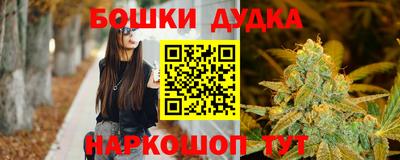 кокс Кингисепп