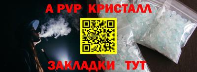 кокс Кингисепп