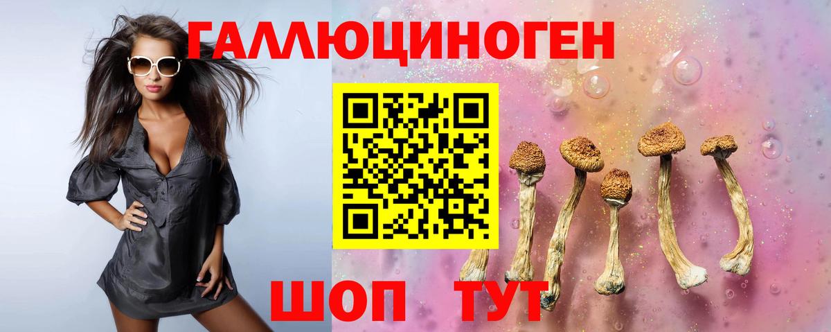 Псилоцибиновые грибы MAGIC MUSHROOMS  Моздок 