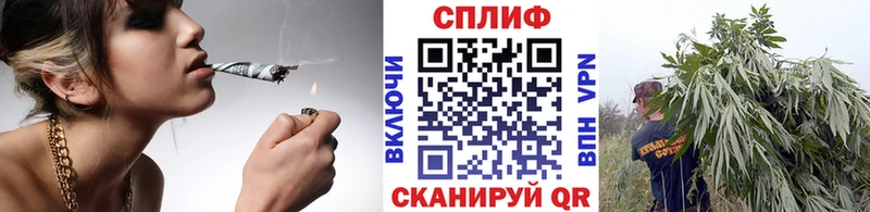 Бошки марихуана семена Моздок